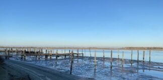 Le zone umide e il riscaldamento globale: Luca Mercalli a Ca’ Corniani VeneziaOrientale@news: la laguna di Caorle e la Brussa