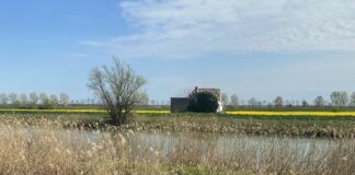 Oltre 37 mln di euro alla Regione Veneto per realizzare 84 km di ciclovie turistiche VeneziaOrientale@news: una ciclovia in veneto