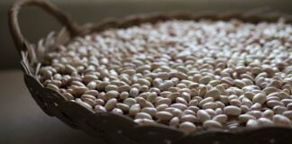 Legumi: c’è la giornata mondiale VeneziaOrientale@news: un piatto di legumi