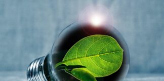 Oggi è la Giornata Internazionale del Risparmio Energetico VeneziaOrientale@new: una lampadina