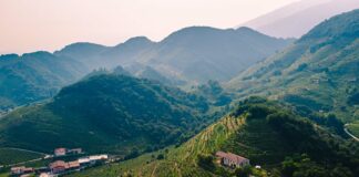 L’affaire Prosecco/Prosek infervora il Veneto del vino VeneziaOrientale@news: le colline di Valdobbiadene