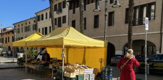 Portogruaro: il mercato agricolo settimanale torna in centro storico VeneziaOrientale@news: il mercato agricolo a Portogruaro