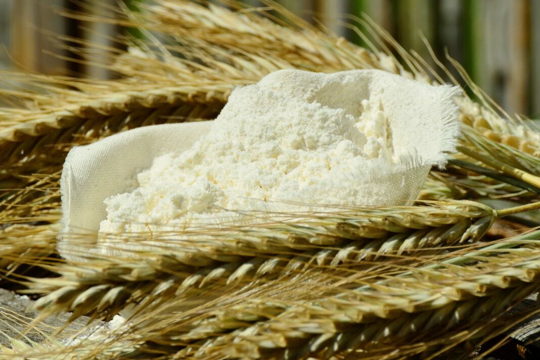 VeneziaOrientale@news: spighe di grano e farina
