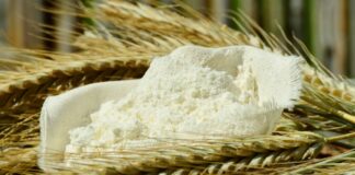 A Belfiore chi va al mulino… s’infarina! VeneziaOrientale@news: spighe di grano e farina