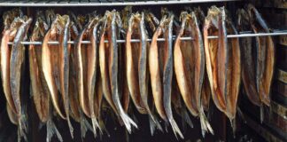 A Concordia Sagittaria è tempo di Renga http://www.prolococoncordia.it/: aringhe ad essiccare