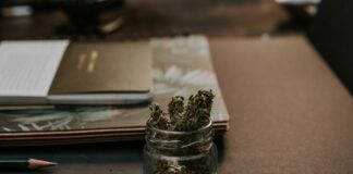 Cannabis, “inammissibile” il referendum sugli stupefacenti