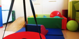 La Nostra Famiglia: percorsi di riabilitazione e presa in carico globale della persona con disabilitÃ