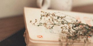 Premio Teglio Poesia: torna Barba Zep VeneziaOrientale@news: un libro di poesie