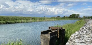 Cento anni fa il primo congresso regionale veneto delle bonifiche: al via gli eventi VeneziaOrientale@news: paesaggio di bonifica