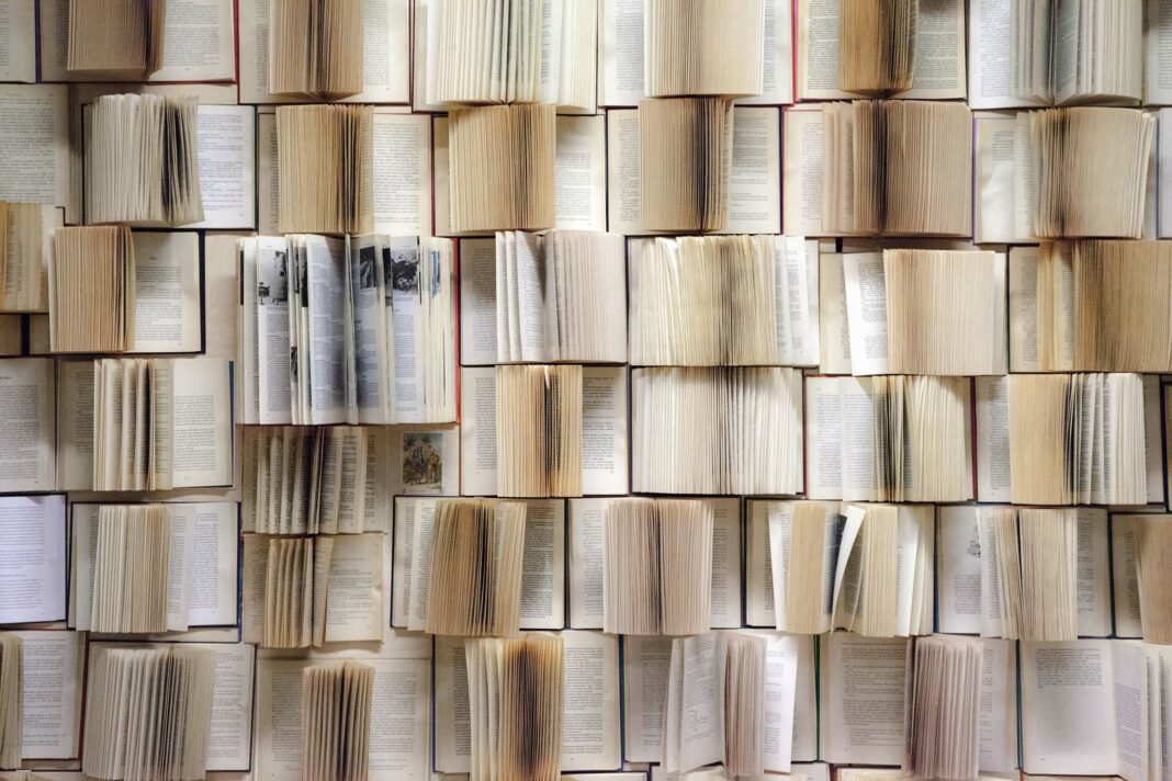 VeneziaOrientale@news: una parete di libri