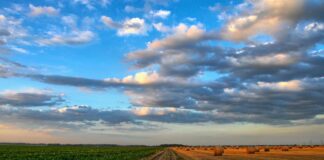 PSR Veneto: bandi per 53,5 milioni di euro VeneziaOrientale@news: paesaggio agricolo