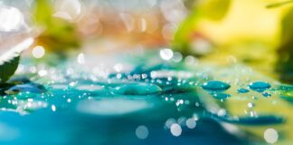 Viveracqua Hydrobond 2022: 148,5 milioni per la rete idrica veneta VeneziaOrientale@news: acqua