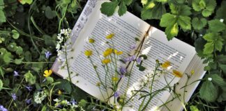 A Pramaggiore arriva il Maggio dei Libri Veneziaorientale@news: un libro aperto