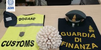 Trasportavano coralli nelle valigie, “beccati” all’aeroporto Catullo