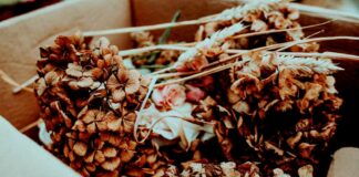 8 marzo, la Giornata internazionale della donna non è una festa