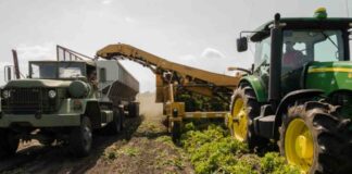 Agroalimentare, la corsa per salvare le colture