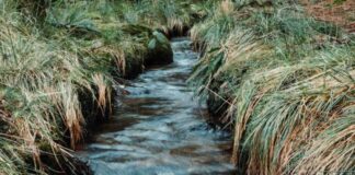 Torrente Illasi, proseguono i lavori: termineranno nel 2023