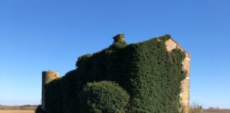 43 milioni per il patrimonio architettonico e paesaggistico rurale VeneziaOrientale@news-. una casa rurale abbandonata