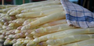 Bibione si veste di bianco e celebra l’asparago VeneziaOrientale@news: asparagi