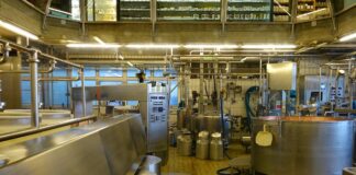 La drammatica crisi del settore lattiero caseario VeneziaOrientale@news: l'interno di un caseificio