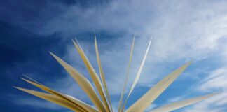 A San Stino Omar Scomparin presenta “Scirocco” Marango di Caorle, Monastero di Marango, presentazione libro, Sotto a chi tocca