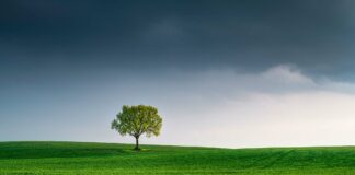 Incontri pubblici per avvio Tarip: Teglio Veneto punta a diventare “rifiuti free” VeneziaOrientale@news: un paesaggio verdeggiante