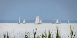 Tornano le Asiadi della Vela a Porto Santa Margherita di Caorle VeneziaOrientale@news: una regata velica