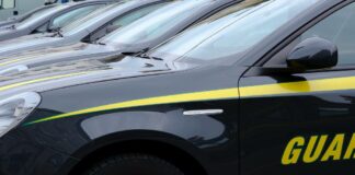 GdF e DDA Trieste, maxi sequestro di cocaina, tra i più grandi di sempre VeneziaOrientale@news: auto dela Guardia di Finanza