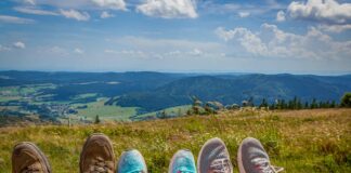 Tornano le zecche: prevenzione e cura VeneziaOrientale@news: famiglia in montagna distesa su un prato