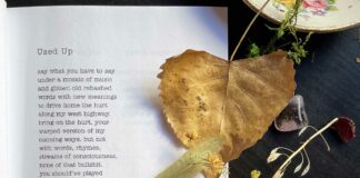 Notturni di versi n°18: si inizia con il Premio Teglio Poesia VeneziaOrientale@news: un libro aperto di poesia