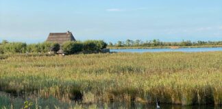Rotta su Venezia: incontro con l’autore VeneziaOrientale@news: un casone nella laguna di Caorle, Architetture lagunari