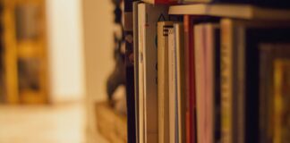 Crimini e misteri, dall’11 al 13 luglio PordenonePensa in giallo