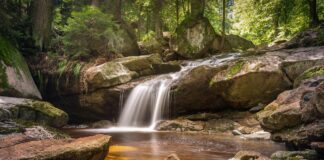 Respira: Erica Boschiero presenta il nuovo album a Caorle VENEZIAORIENTALE@NEWS: Un bosco ed un ruscello