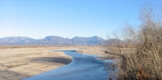 Complessa operazione di brillamento per un ordigno bellico sul greto del Tagliamento Veneziaorientale@news: il Tagliamento