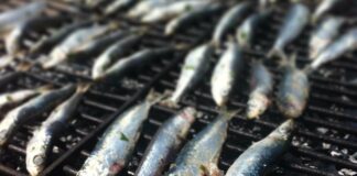 Sardee in Grea a Caorle: conduce Simone Rugiati Veneziaorientale@news: sardine sulla griglia