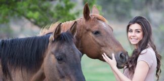 A Portogruaro i campionati nazionali di Volteggio VeneziaOrientale@news: ragazza accarezza un cavallo