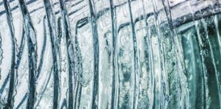 Zignago Vetro: principale operatore italiano del riciclo del vetro Veneziaorientale.news Zignago vetro