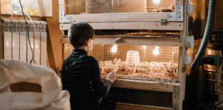 Domenica tornano le Fattorie didattiche aperte