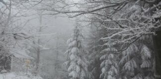 A Teglio Veneto va in scena “La tempesta di neve” VENEZIAORIENTALE@NEWS: paesaggio innevato