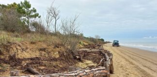 Valle Vecchia: l’oasi che (ancora) non c’è VeneziaOrientale@news: Vallevecchia di Caorle