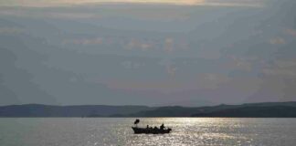 Alto Adriatico, trasformazione irreversibile di un ecosistema in 40 anni