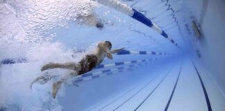 Onorificenza sportive CONI 2022, tredici i veneti premiati a Roma