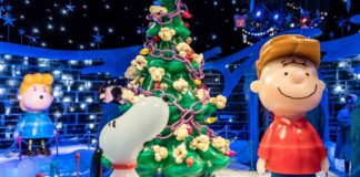 Natale con un Sorriso in tutto il Veneto VeneziaOrientale@News: Natale con un sorriso