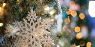 Jesolo diffonde il Natale. Mercatini, spettacoli e molto altro