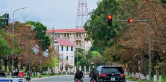 Aumenti multe stradali, quali le più frequenti e come prevenirle