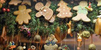 A Chioggia già risplendono le luci di Natale, ecco gli eventi