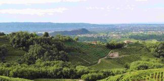 Buy Veneto 2023: un crocevia di buyer da tutto il mondo Buy Veneto, operatori turistici, turismo