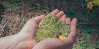 La città per l’ambiente. Una domenica ecologica a Portogruaro