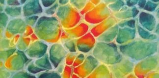 Nodi di buio, onde di luce. A Mestre arrivano le opere di Beti Cotic