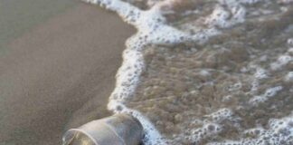 Plastic Free Onlus a Jesolo per un Clean Up delle spiagge Un bicchiere di plastica lungo la spiaggia, Caorle, Comune Plastic Free